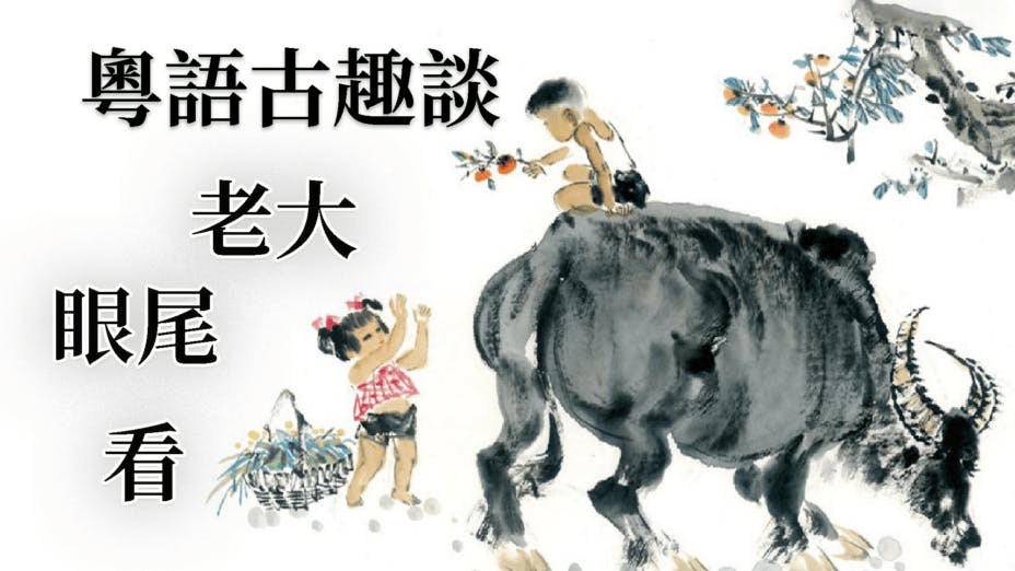 詩詞中如何記載「看」、「老大」、「眼尾」三個詞語？（灼見名家製圖）