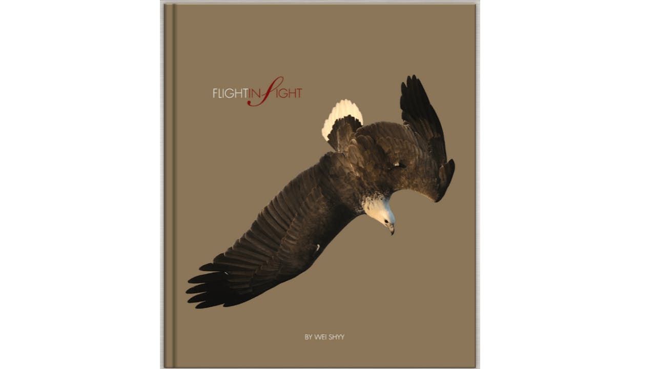 史維教授的攝影集Flight in Sight，展現他航空航天工程學家以外，生態攝影學家的一面。