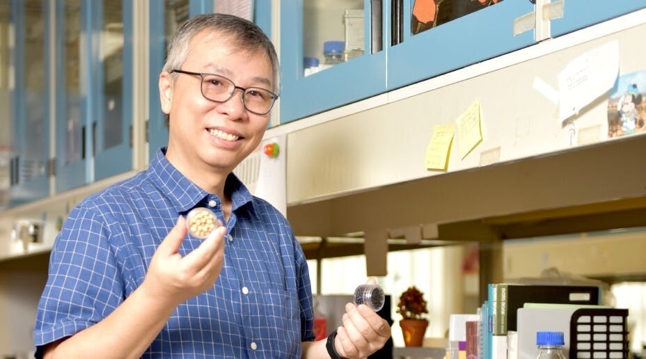 作者期待這本書能令大眾多認識大豆，也讓家人、學生、團隊以及其他認識或不認識我的朋友，了解作者為什麼把科研心力都灌注在這一粒小小的種子之中。（《中大通訊》圖片）