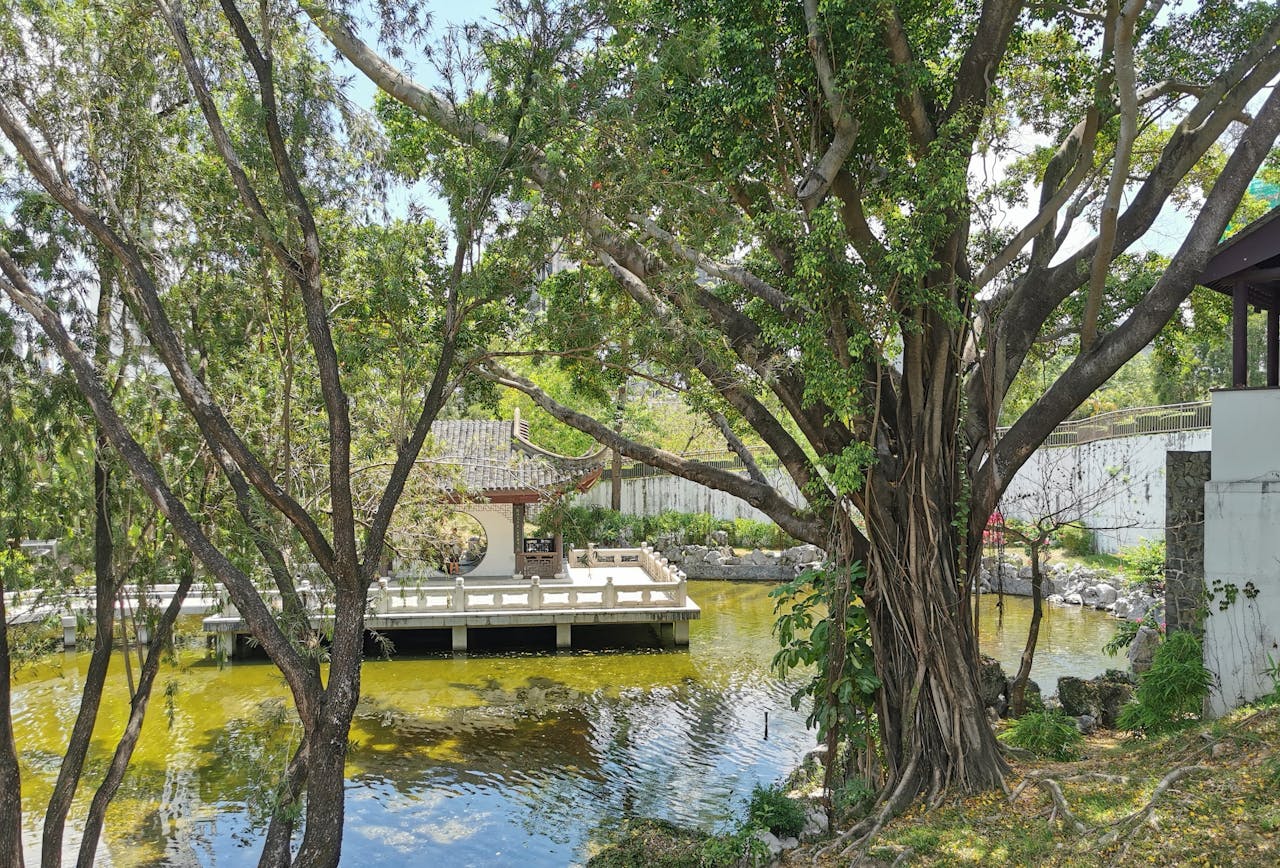 公園內庭臺綠植，流水石景，一派怡然，往昔的硝煙烽火與民生艱困，不着一點痕跡。