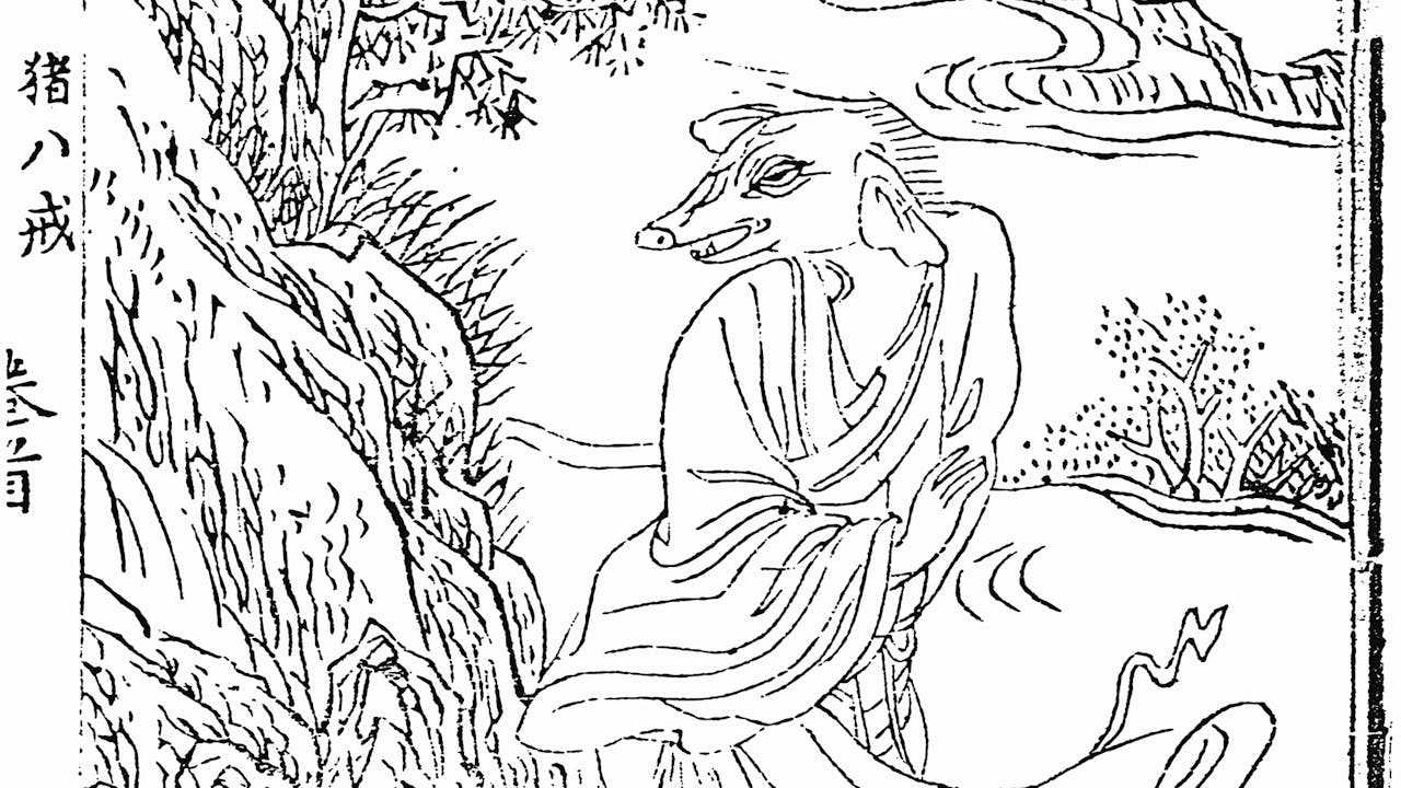 說唱文學《唐僧取經》裏指明豬八戒是野豬，渾身上長的是鐵黑豬毛。（Wikimedia Commons）