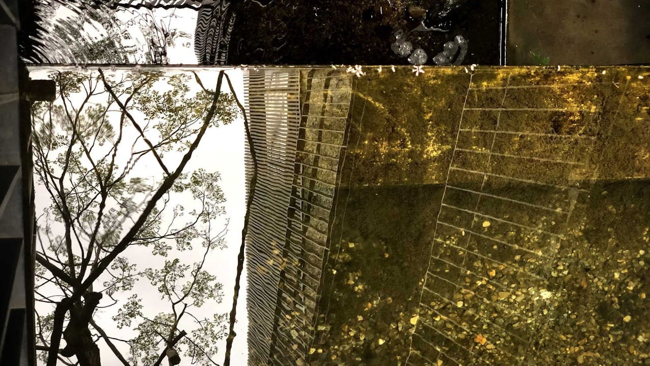 我們對佛法的認識，是受限於目前的智慧所能夠達到的程度。（作者提供）