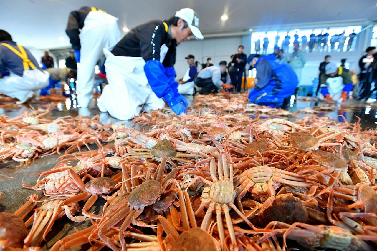 日本80 歲仍在工作不罕見：我們準備好迎接超高齡勞動力了嗎？ - Business Insider Taiwan