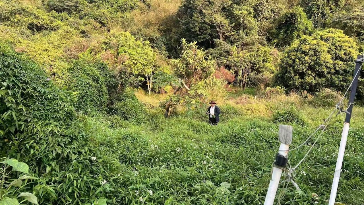 與大自然界的蛇蟲鼠蟻共處，也算是修煉天人合一的一種試探。