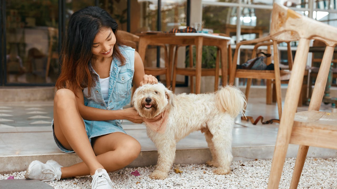 大多寵主願意為寵物的生活質素「課金」，特別是在高端產品和服務上。（Shutterstock）