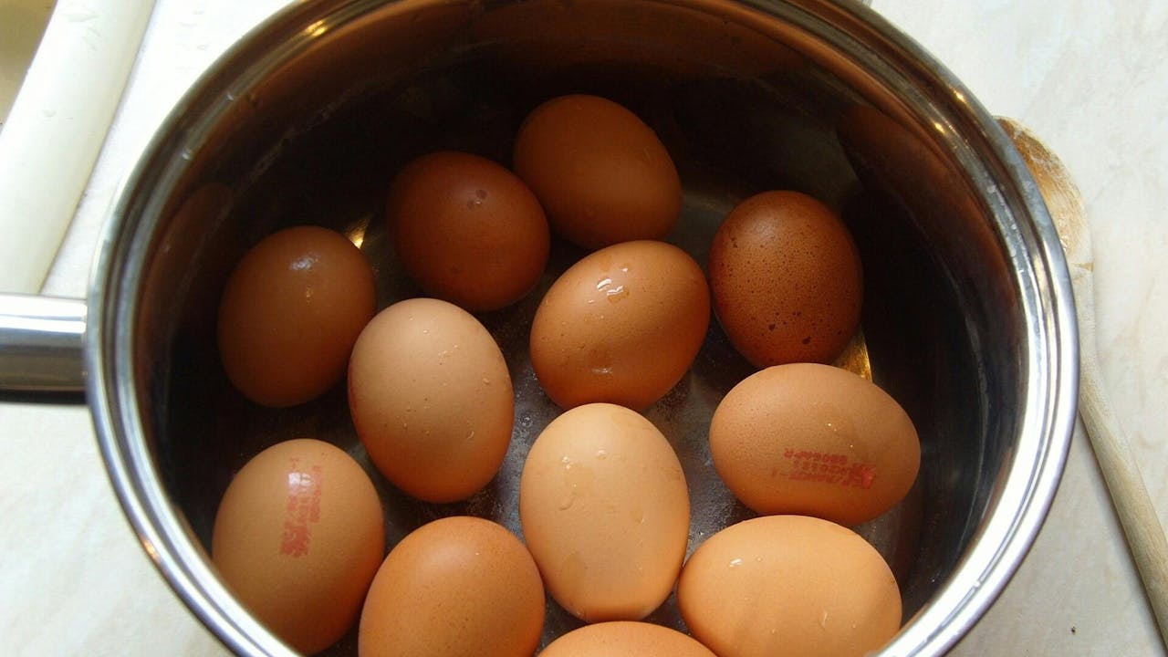 原來蛋黃與蛋白的主要成分──蛋白質，其凝固點並不相同。（Shutterstock）