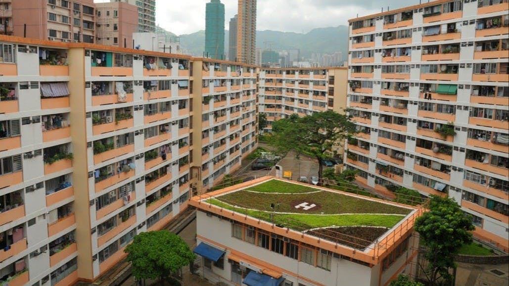 真善美邨只有三座大廈，在1965年入伙。（香港房屋協會）