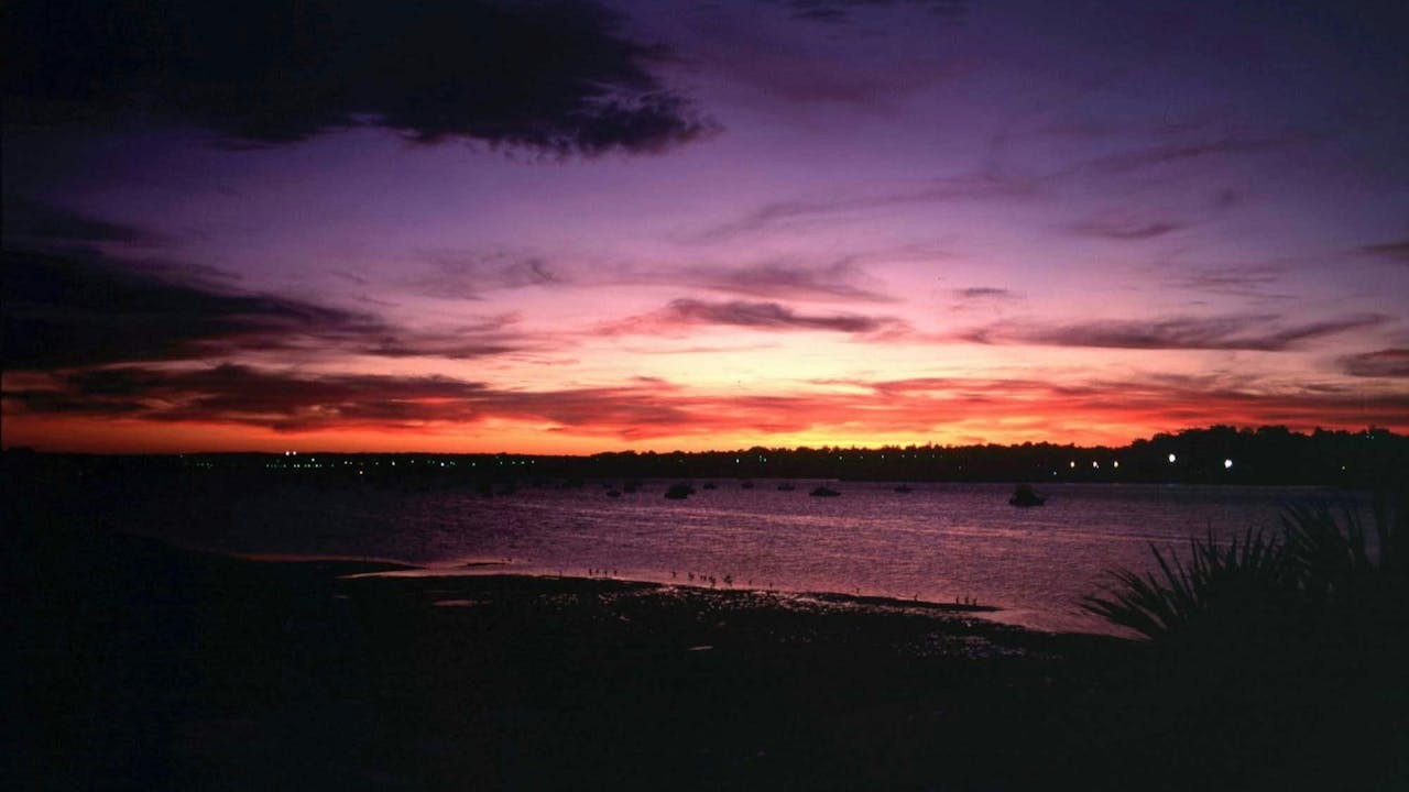 有一位老人每天都走到沙灘上把海星拾起放回海中，直至天色入黑才離開。（作者提供）