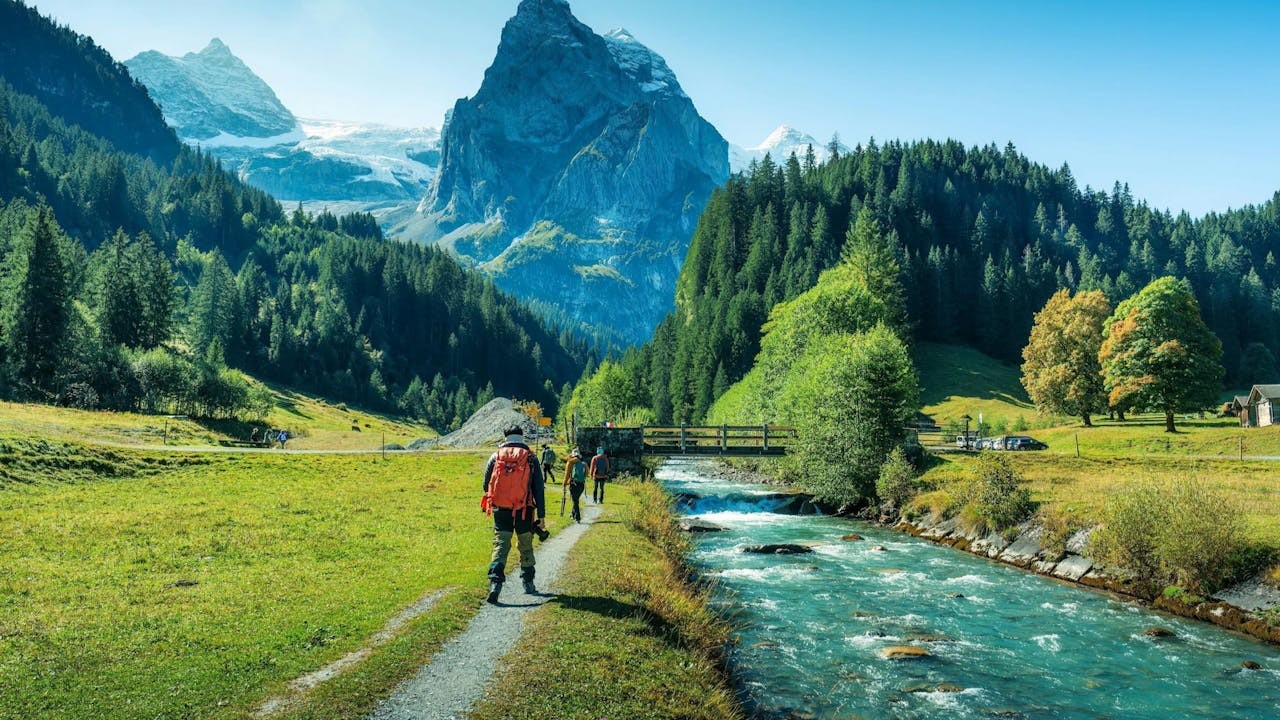 與煩惱共存，不是屈服，而是一種更深的智慧。（Shutterstock）