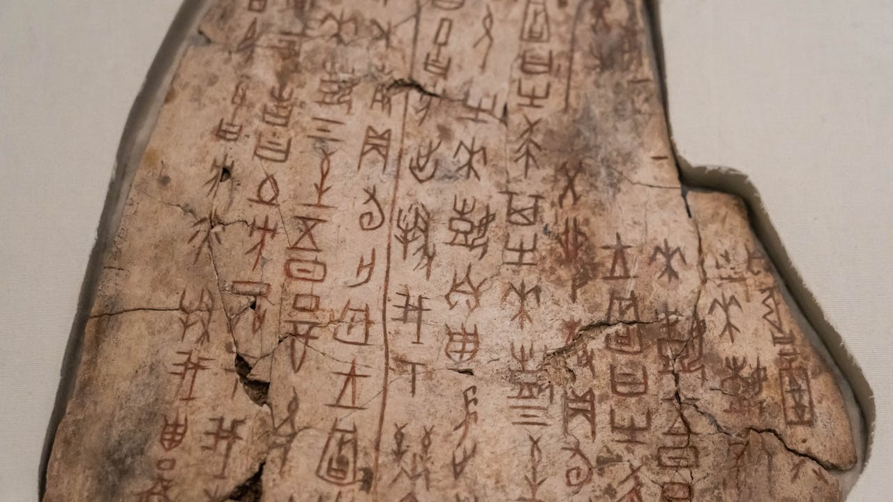 象形字裏的動物漢字，可以視為古代中國較為常見的動物。（Shutterstock）