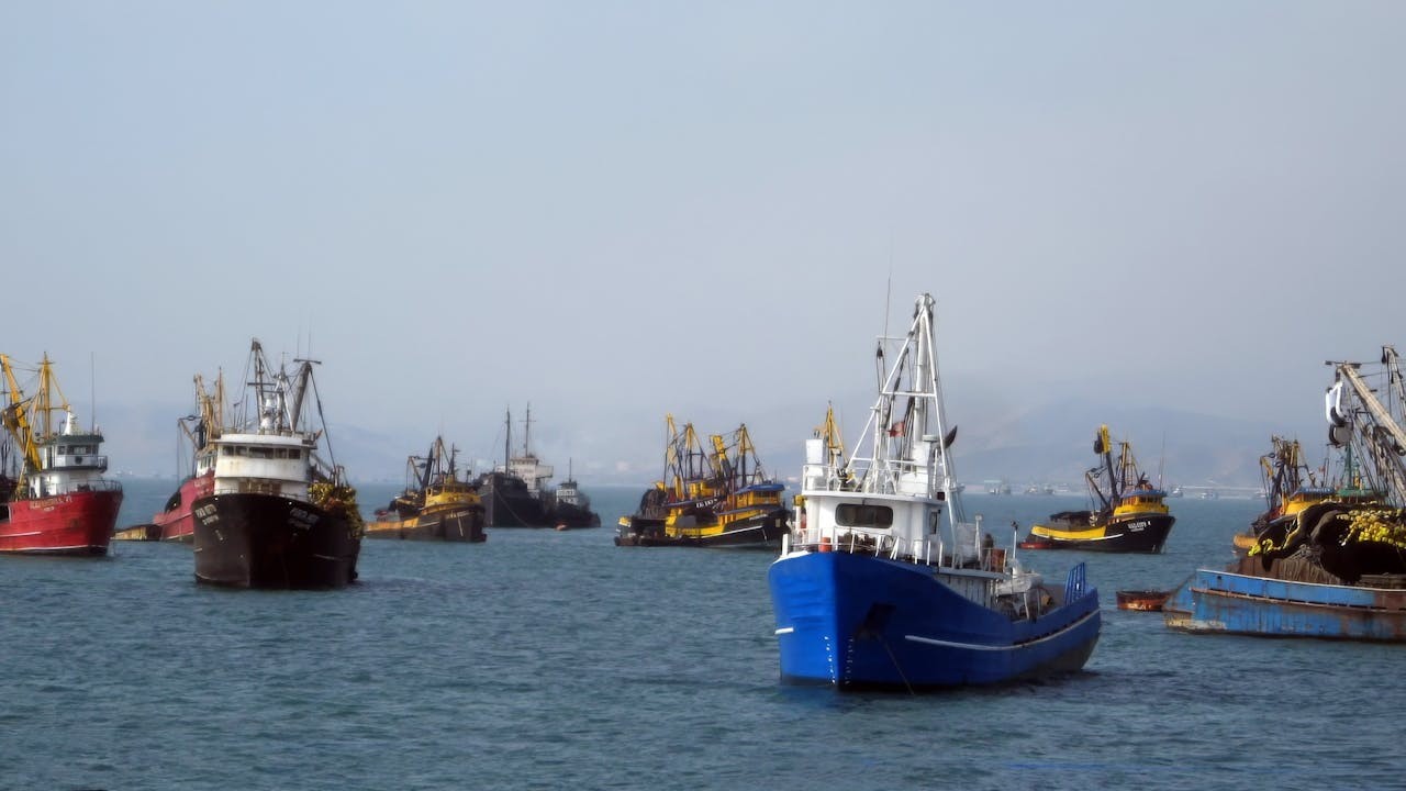 在競爭者持續過度捕撈的情況下，你只能拖着沉重的腳步，頭也不回的邁向資源軍備競賽的終點，而你知道在那兒的只有悲劇結局。（Shutterstock）