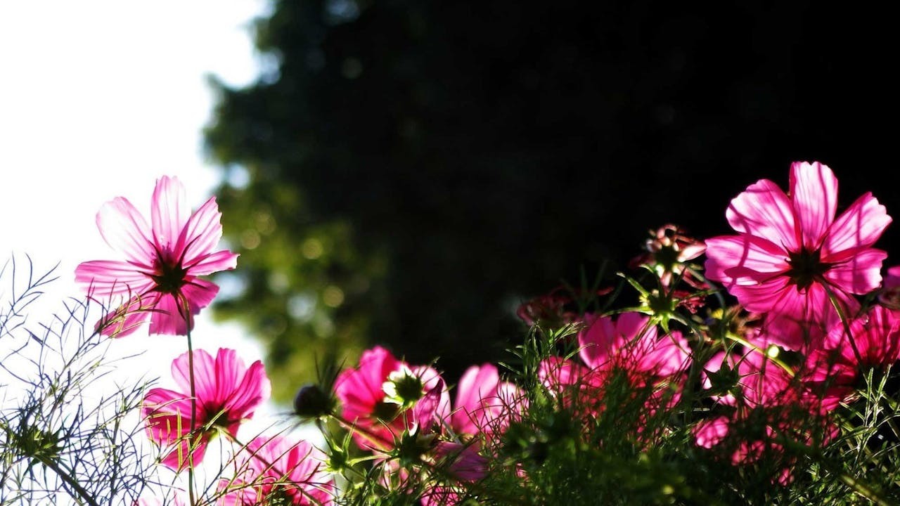 放下耿耿於懷的情緒，心念回到當時美妙的環境，才是正確的禪生活方法。（作者提供）
