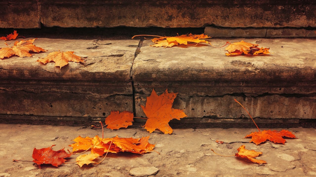 秋分，大地沉默，卻寫意遼闊悠遠。（Shutterstock）
