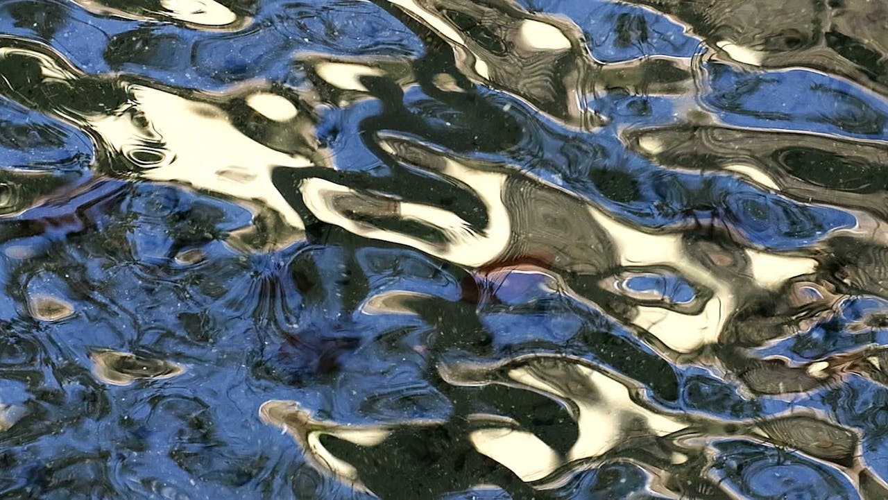 只要心在，念頭就在，怎麼可能除得盡呢？（作者提供）