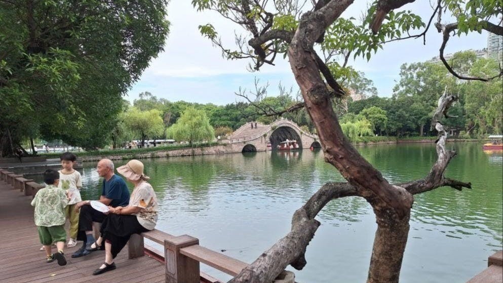 福州簡稱為「榕」，西湖旁大榕樹，為遊人好遮蔭。老人在西湖邊弄孫為樂。