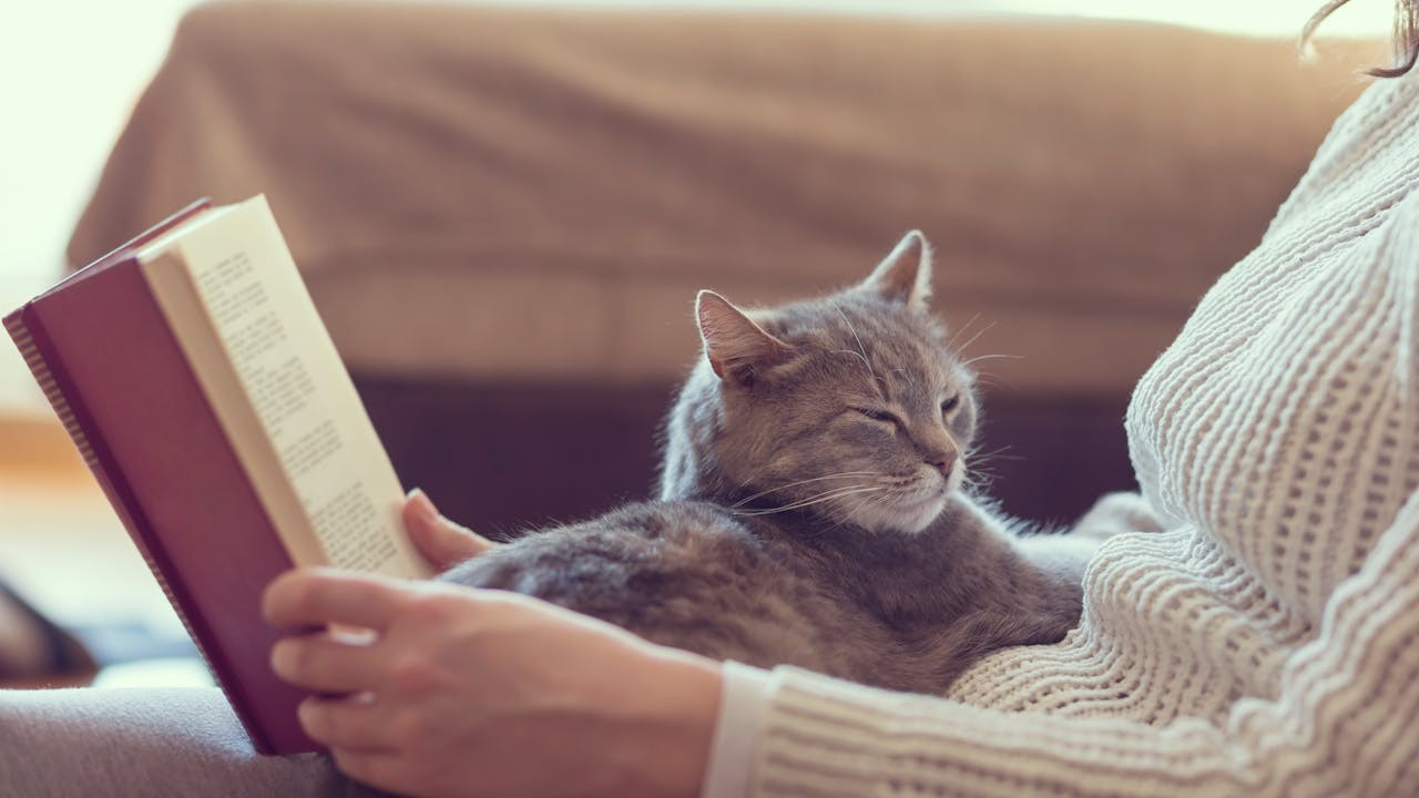 粵語義為「雌性」、「母親」、「妻子」的「na35」，是「女」一詞的上古音（［nia］）的遺傳與變異。（Shutterstock）