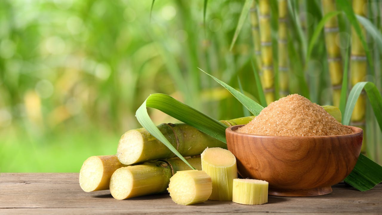 甘蔗味甘、性寒,歸肺、胃二經。(Shutterstock)