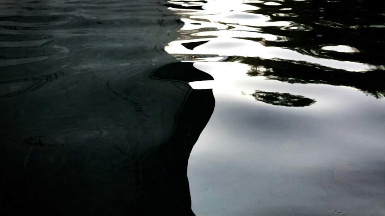 是非、對錯、好壞都是相對而非絕對的表面現象。(作者提供)