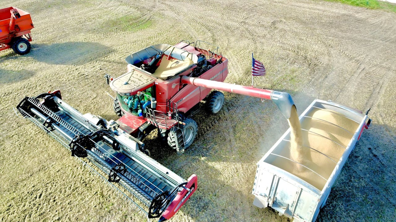 特朗普和中國對抗、加關稅,結果大豆賣不出一粒。(Shutterstock)