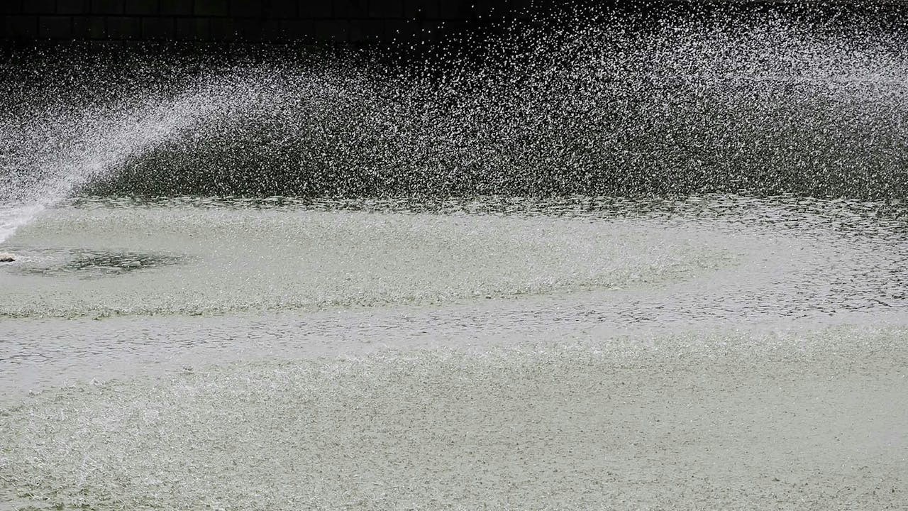 學佛是要開發自心本自具足的智慧。（作者提供）