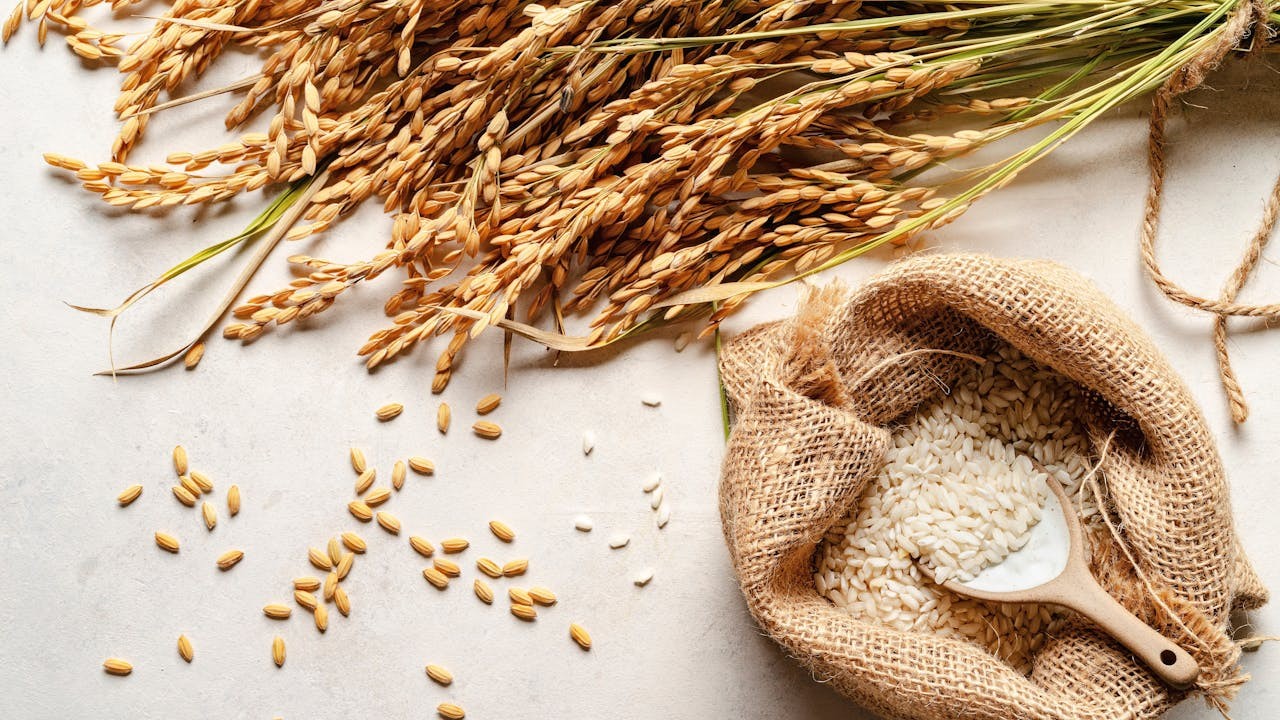 現代中國的糧食實際上主要是兩穀：稻米和小麥。（Shutterstock）