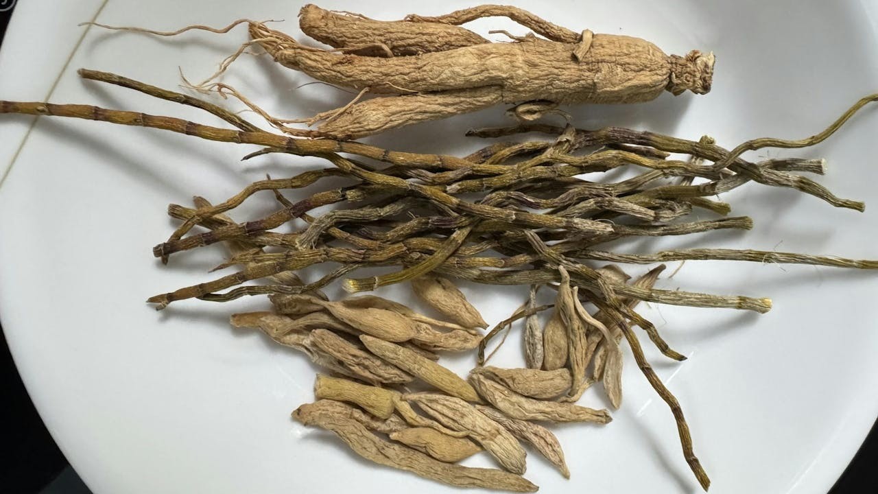 人參麥冬石斛茶的三味主要藥材。（作者提供）