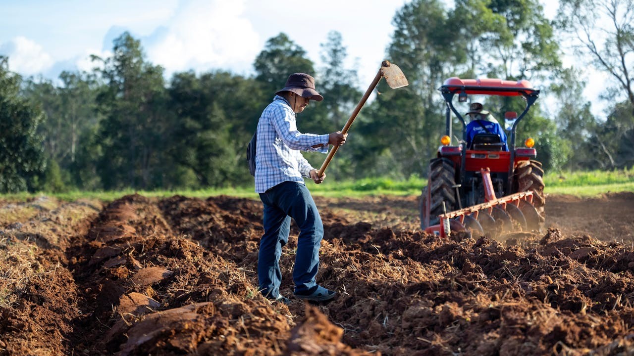 「一曰臿土謂之坺」，屬於翻土，鏟土的意思。（Shutterstock）
