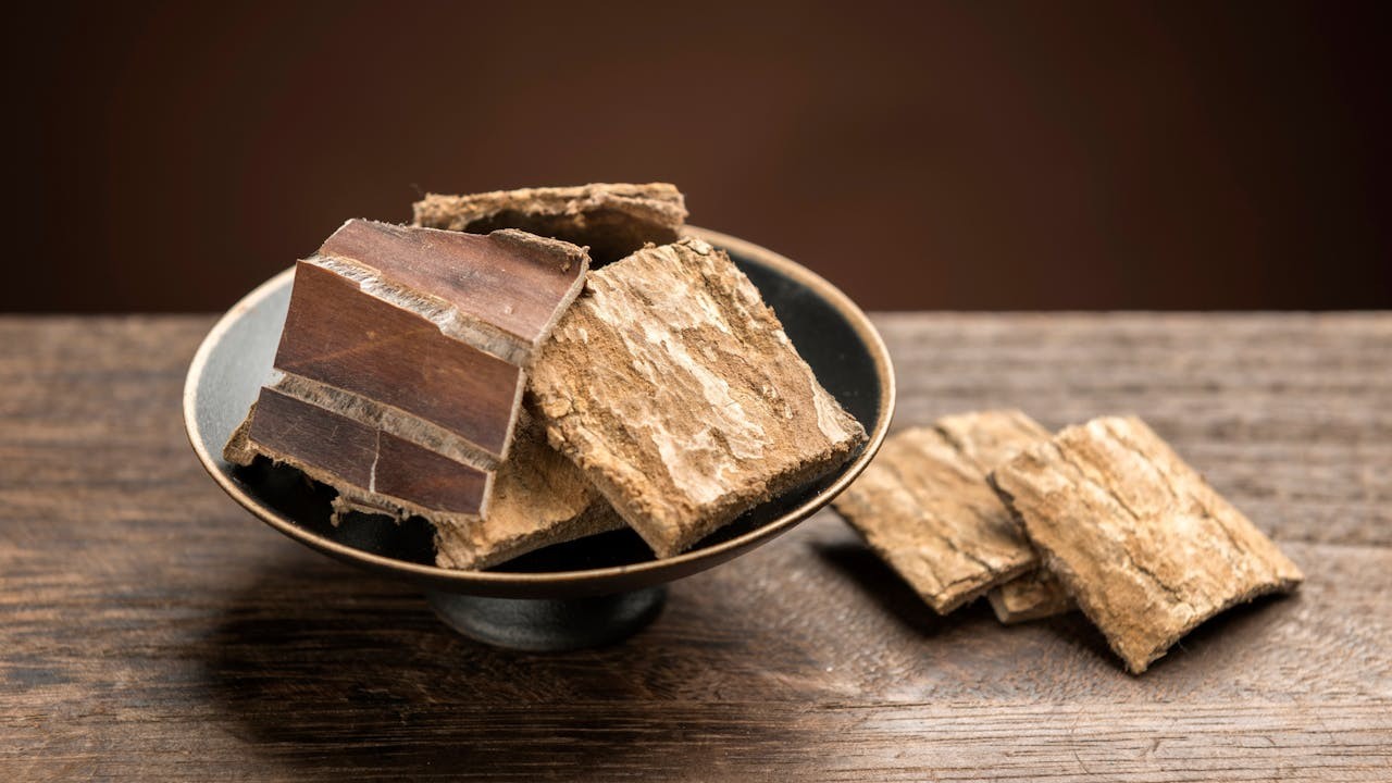 杜仲這味名貴中藥，自古便被譽為補益肝腎、強健筋骨的良材。（Shutterstock）