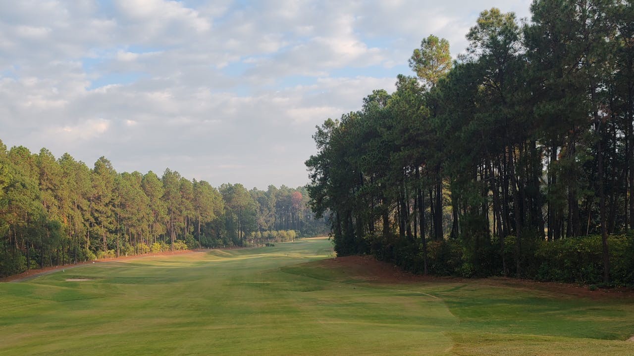 銀山高爾夫球場位處山裏丘陵地，遠離煩囂，大樹密布，尤多松樹。