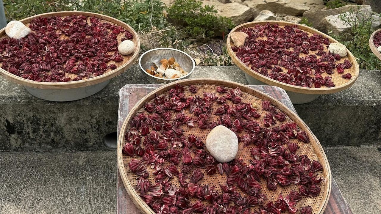 洛神花靜靜地躺在疏朗通風的竹條上。(作者提供)