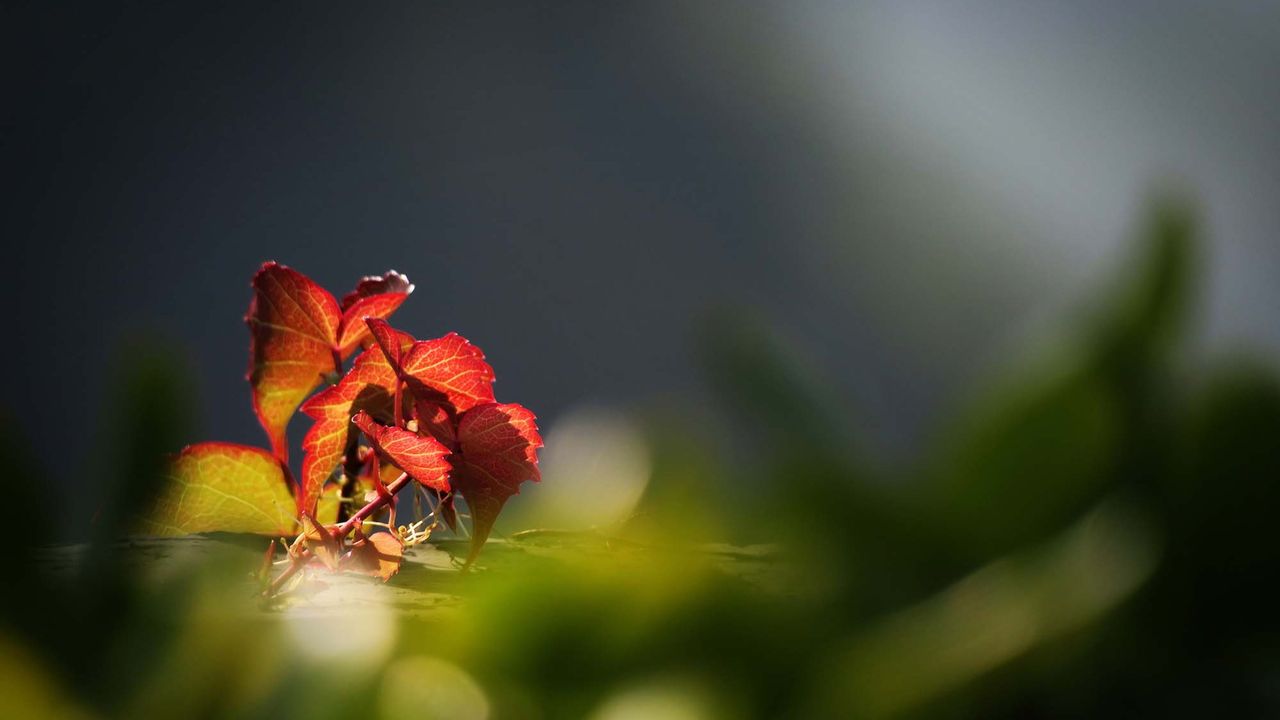 當人被鼓勵有自由發揮的空間，除了可以投入發揮而得到滿足感之外，也可以減輕主事人的負擔。（作者提供）