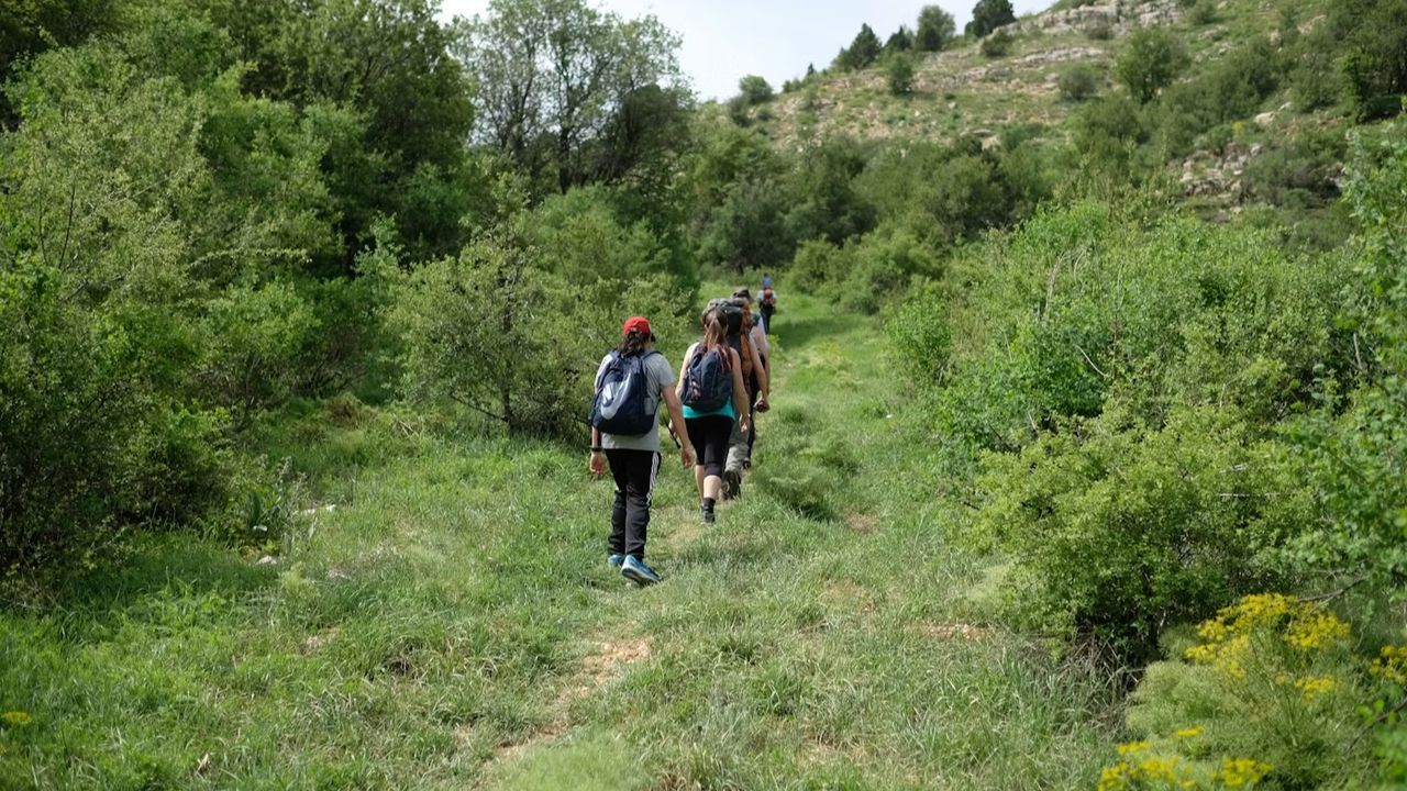 青鳥對自然教育理念的深信不疑。（Unsplash）