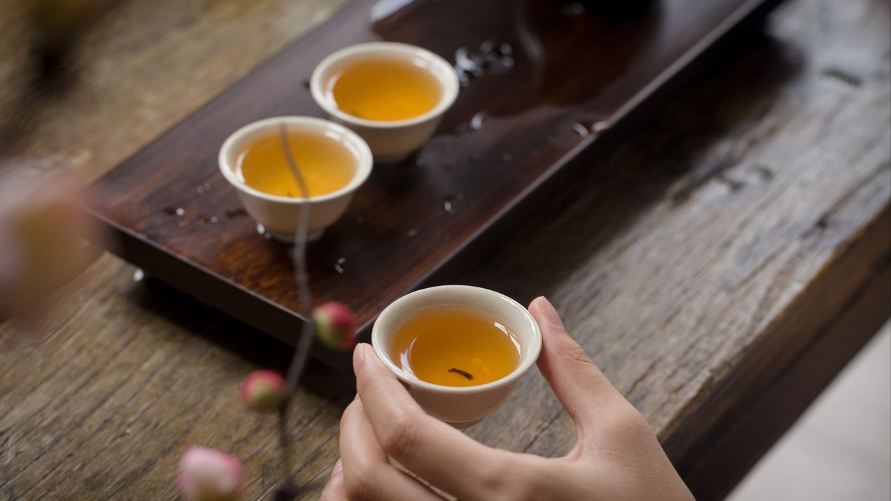 要理解茶和茶葉,不只是反覆地喝,而是要辯證地喝。(Shutterstock)