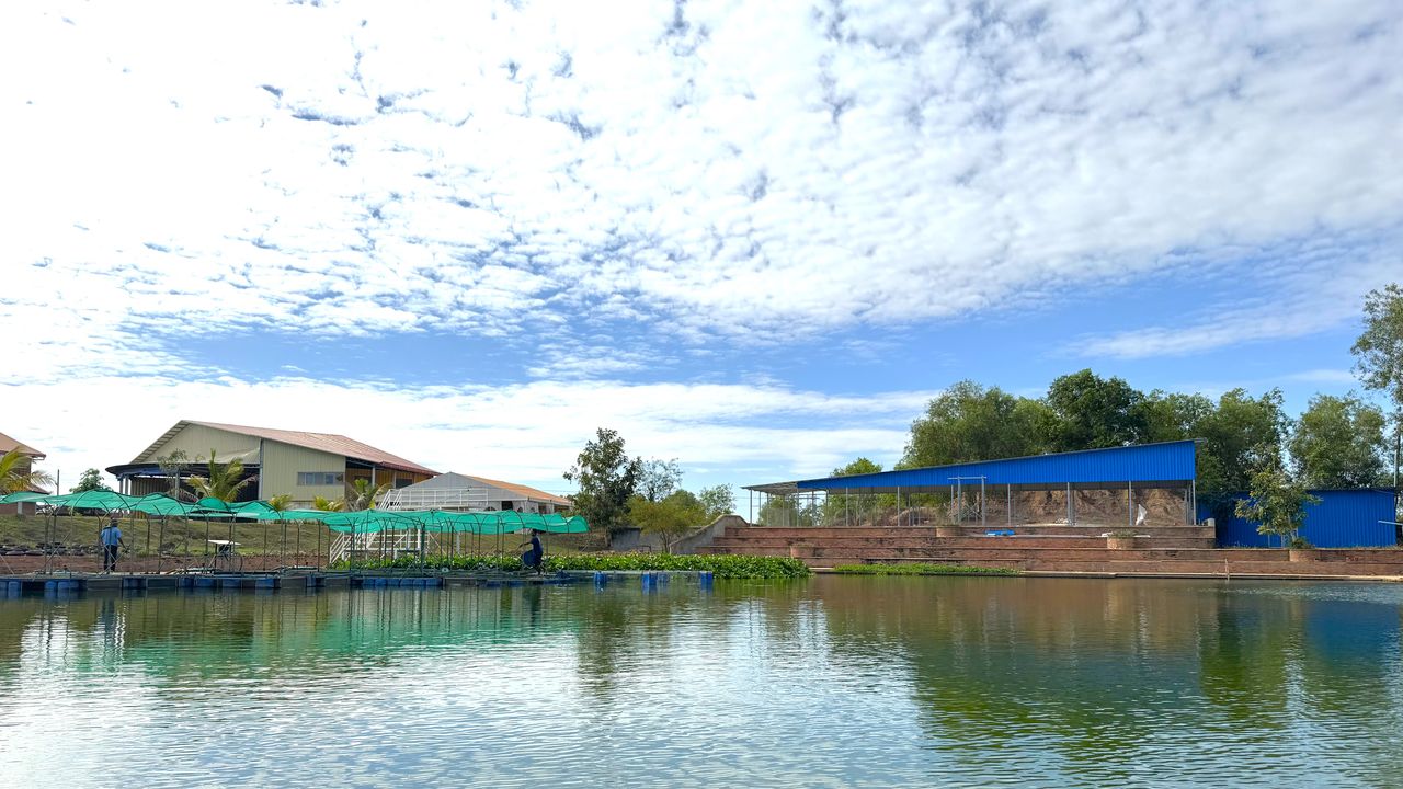 作者到暹粒旅遊，不慎遇上小車禍。（作者提供）