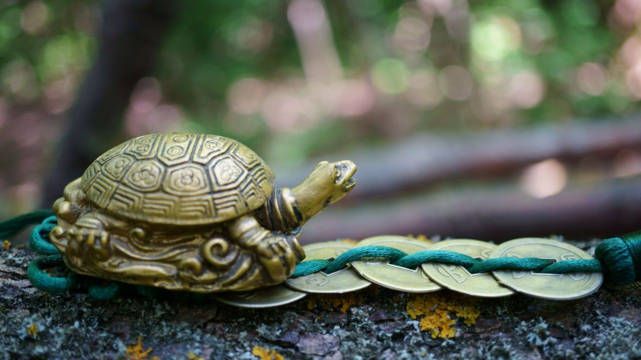 提倡以商品化煞的只是騙子。（Shutterstock）