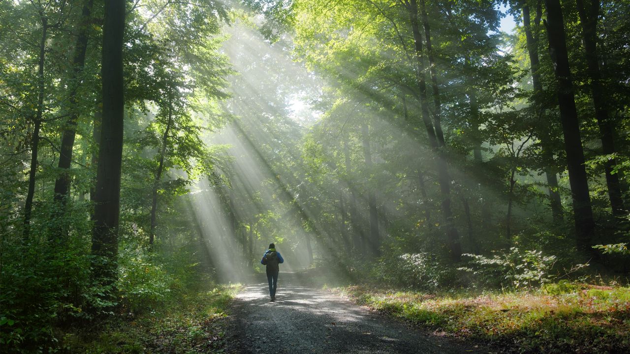 當我們學會觀照，世界便會展現出另一番景象。（Shutterstock）