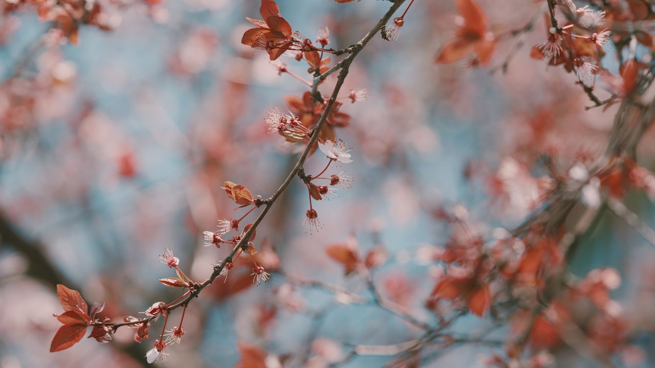 人們總是盼夏去秋來涼風起，又盼冬至春暖花滿枝。（Shutterstock）
