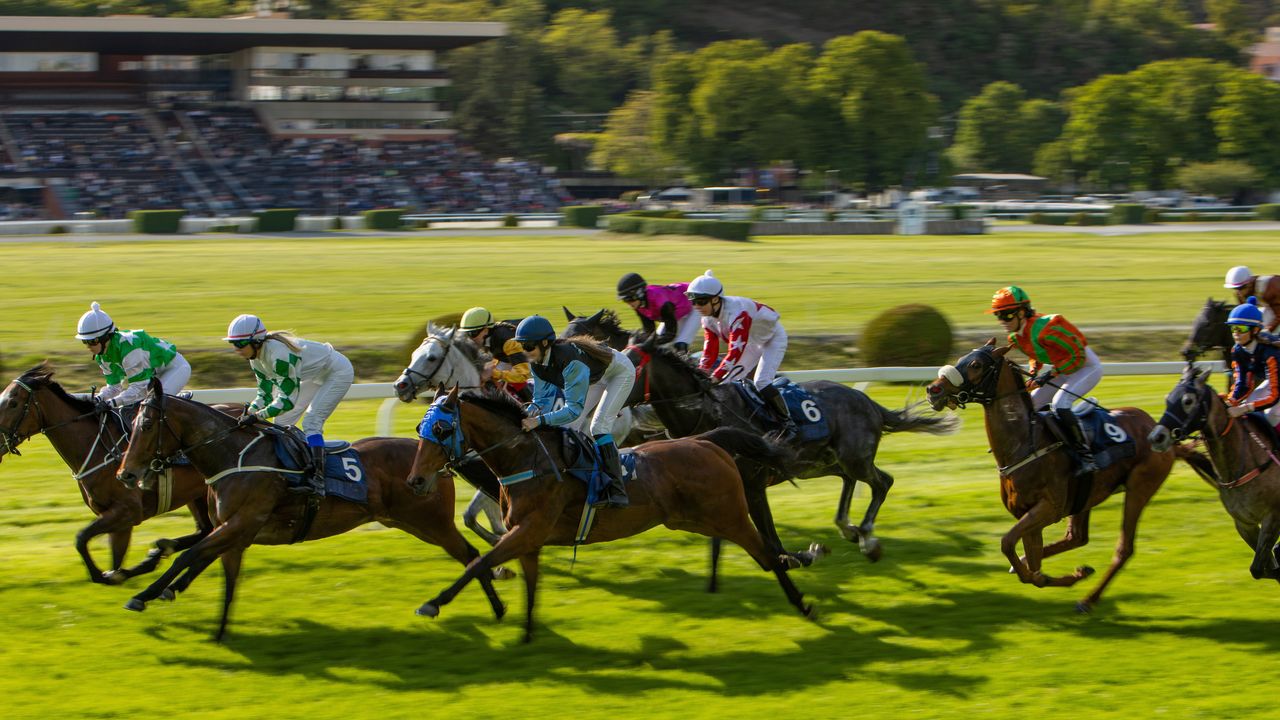 馬不僅是競速的化身,更是權力、財富與文化的象徵。(Shutterstock)