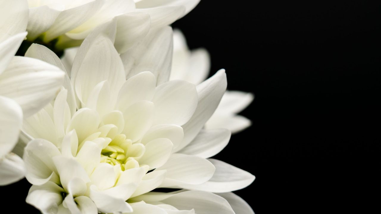 人間的所有足跡皆可瞬間遁失，只有情誼在心未能抺去。（Shutterstock）