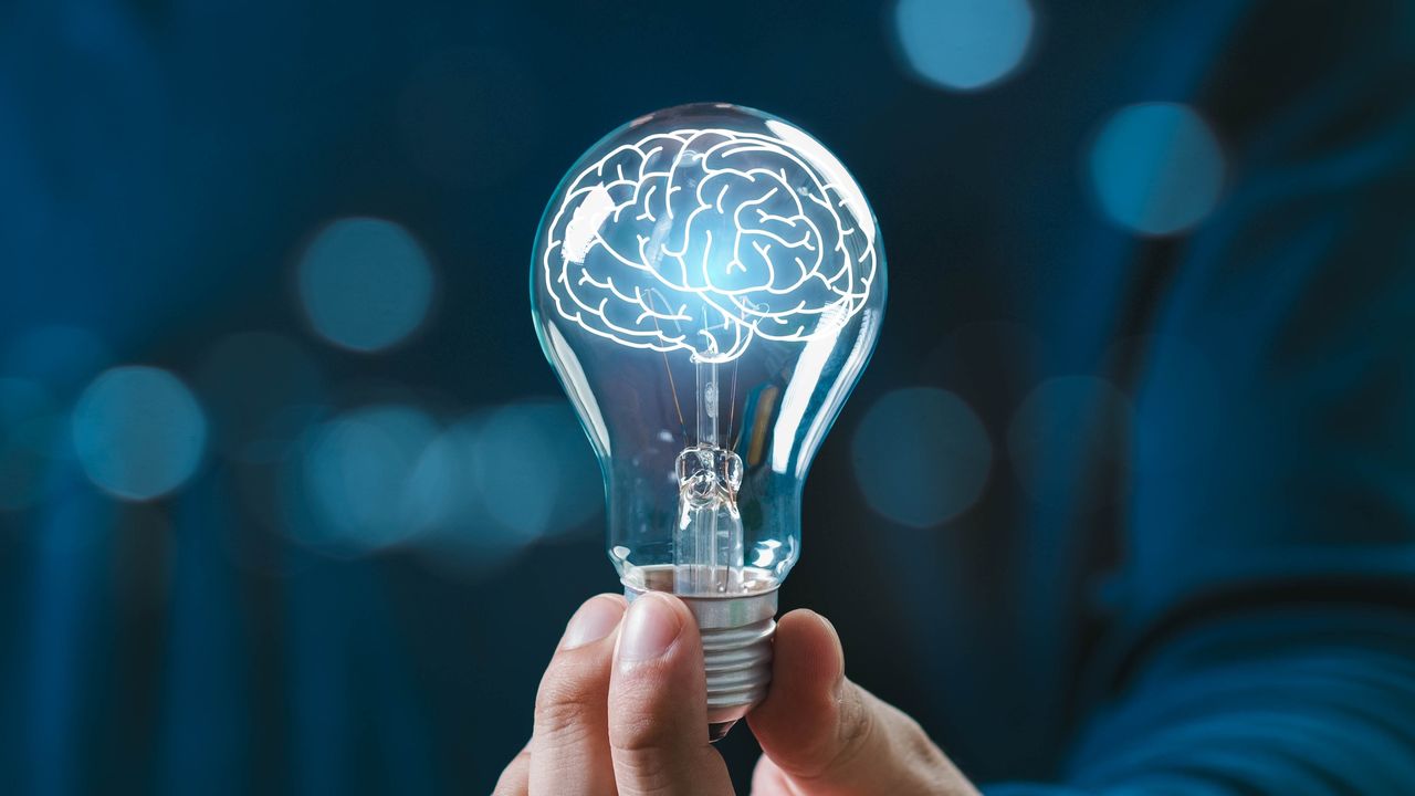 本書每一章探討關於大腦的不同問題。(Shutterstock)