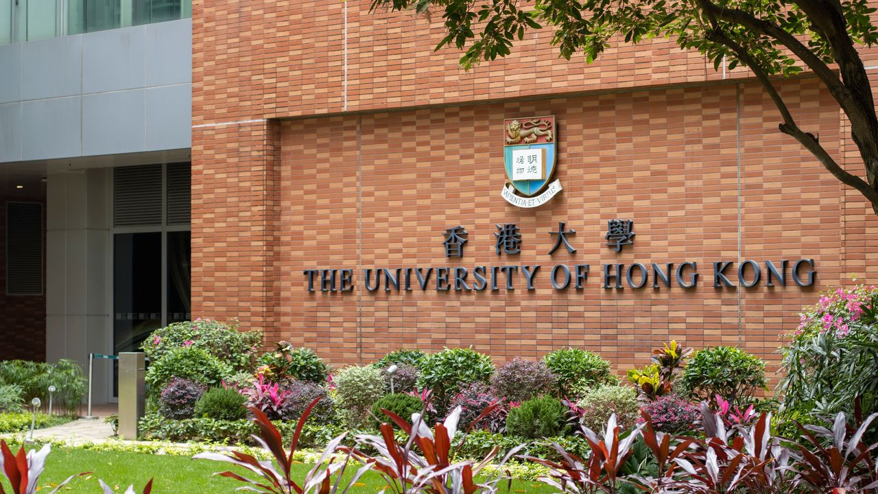 香港大學牙醫學科榮列全球第二位，教育及培訓學科位居第五位。（Shutterstock）