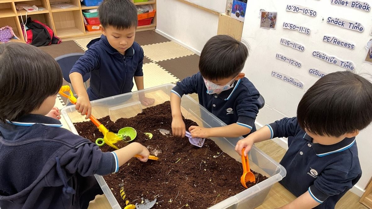 孩子們拿起小鏟子，把小魚安葬在幼兒園的植物角的泥土裏。（作者提供）