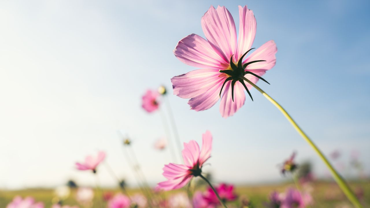 心若知足，人生處處皆是風景。（Shutterstock）