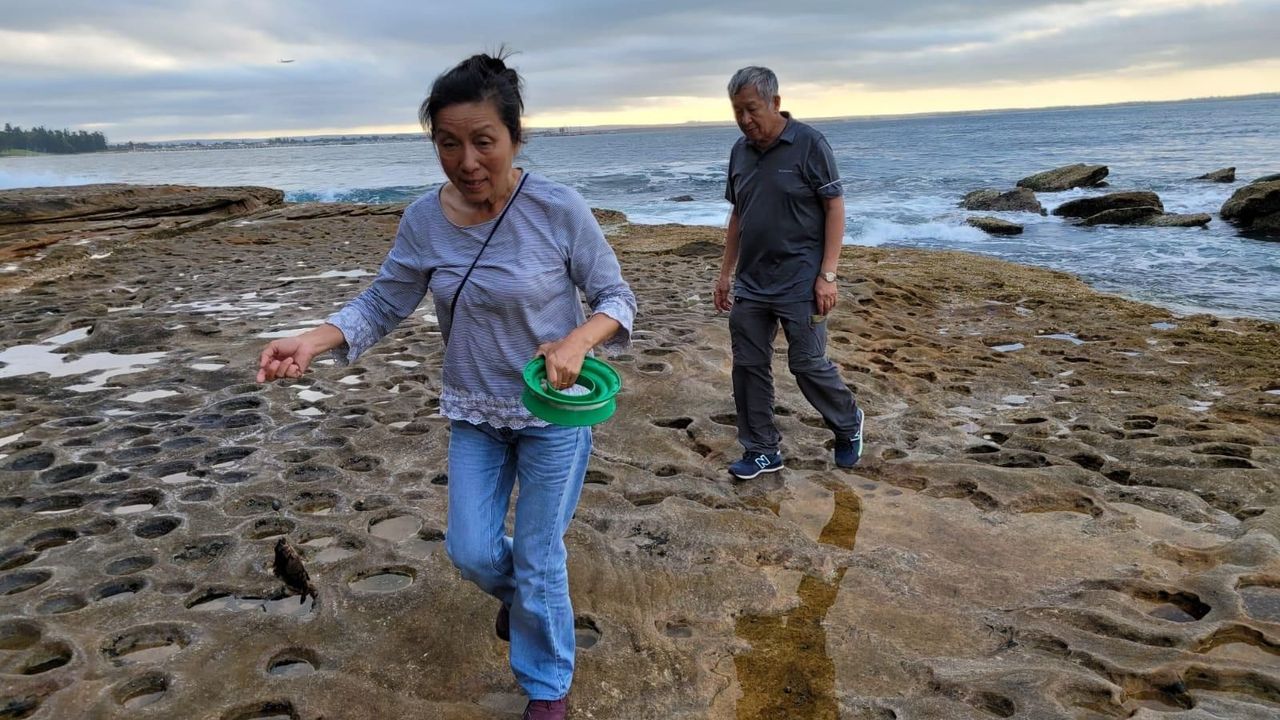 Harry與Mei在Ulladulla (距離悉尼巿中心三小時車程）石灘找釣魚地方。