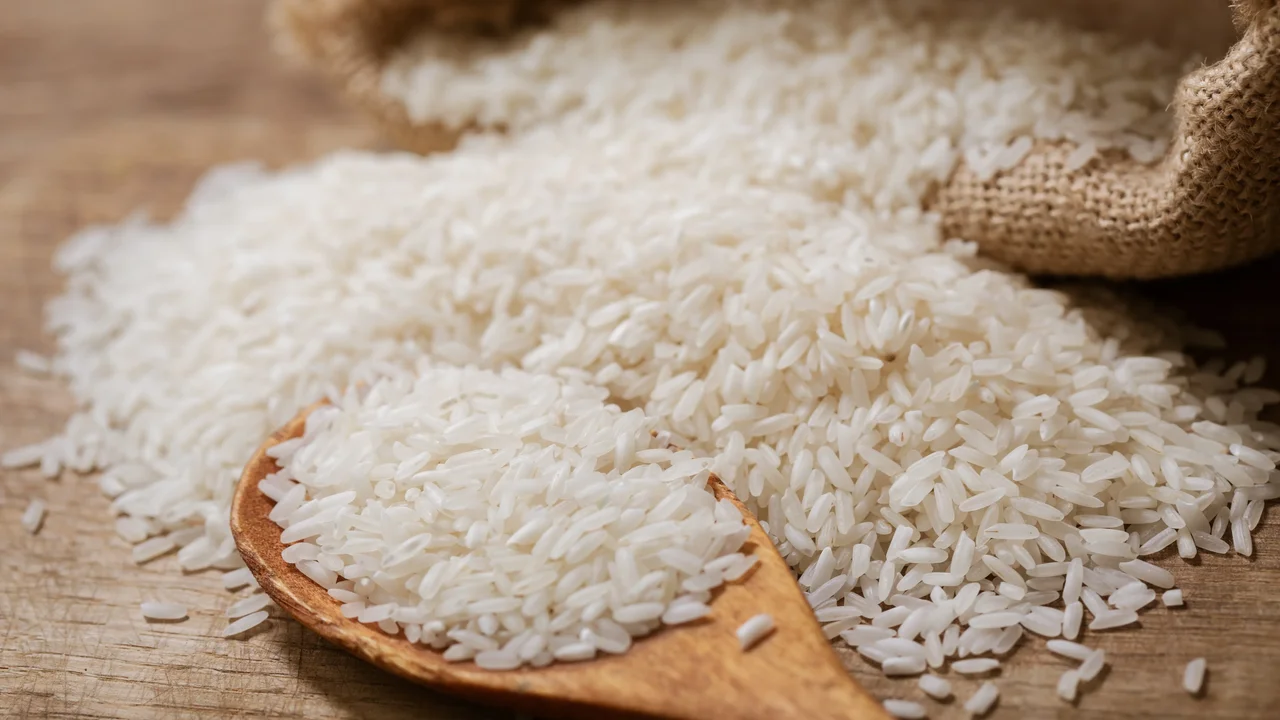 從田間到餐桌，一粒粒大米經由天地孕育，存思日月精華，凝聚着大自然的恩賜與無數人的匠心，繪寫芸芸眾生萬千氣象。（Shutterstock）
