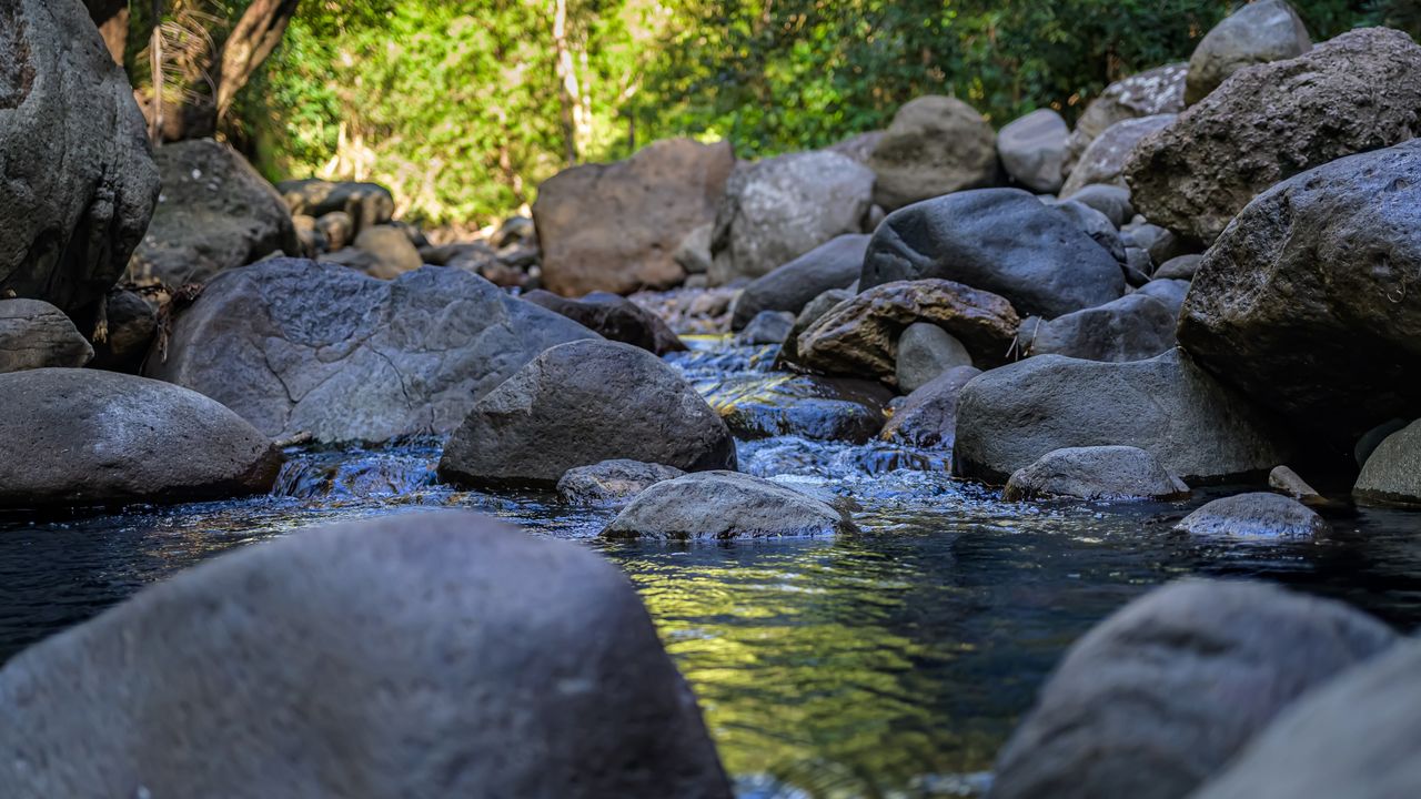 歲月蹉跎在雕琢我們，那些走過的路、遇到的人、經過的事，有如石上的紋路，深深刻進生命裏。（Shutterstock）