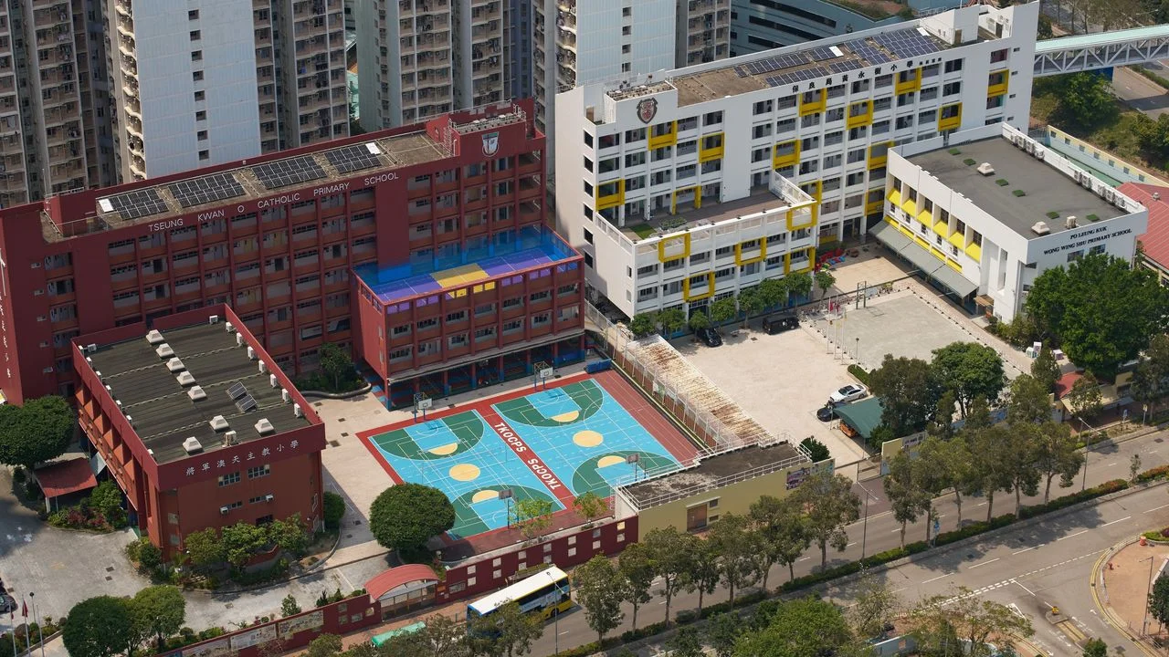 特區教育，雖未參天，已成大樹。（Shutterstock）