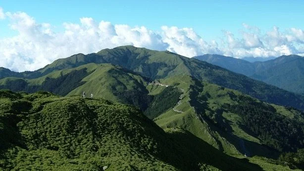 今次行程主要是到合歡山東峰考察高海拔蘭花及在杉林溪森林遊樂區考察中海拔蘭花。(Shutterstock)