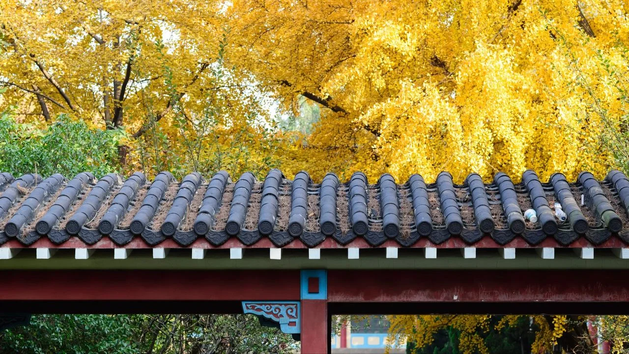 有指南京師範大學位處在隨園故地。(Shutterstock)