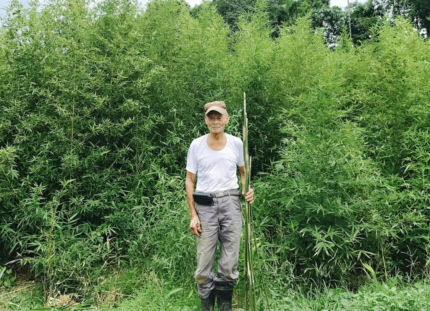 地表最弱的吸管:不只為環保,它將改變墜落二十年的台灣竹業 - TNL The News Lens 關鍵評論網